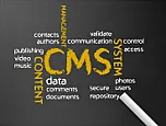 Increase Effectiveness and Boost User Engagement with CMS