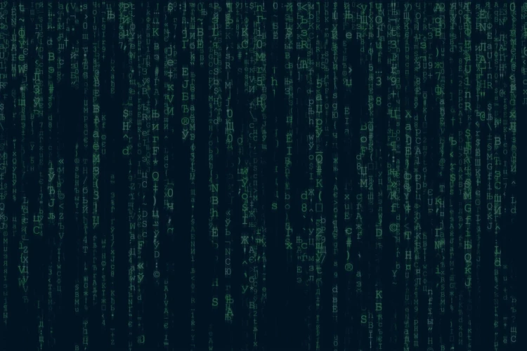 Software Development