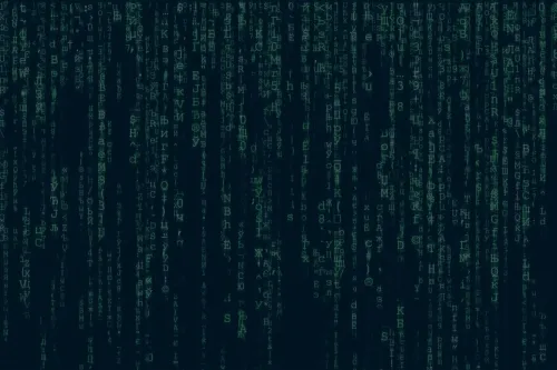Software Development
